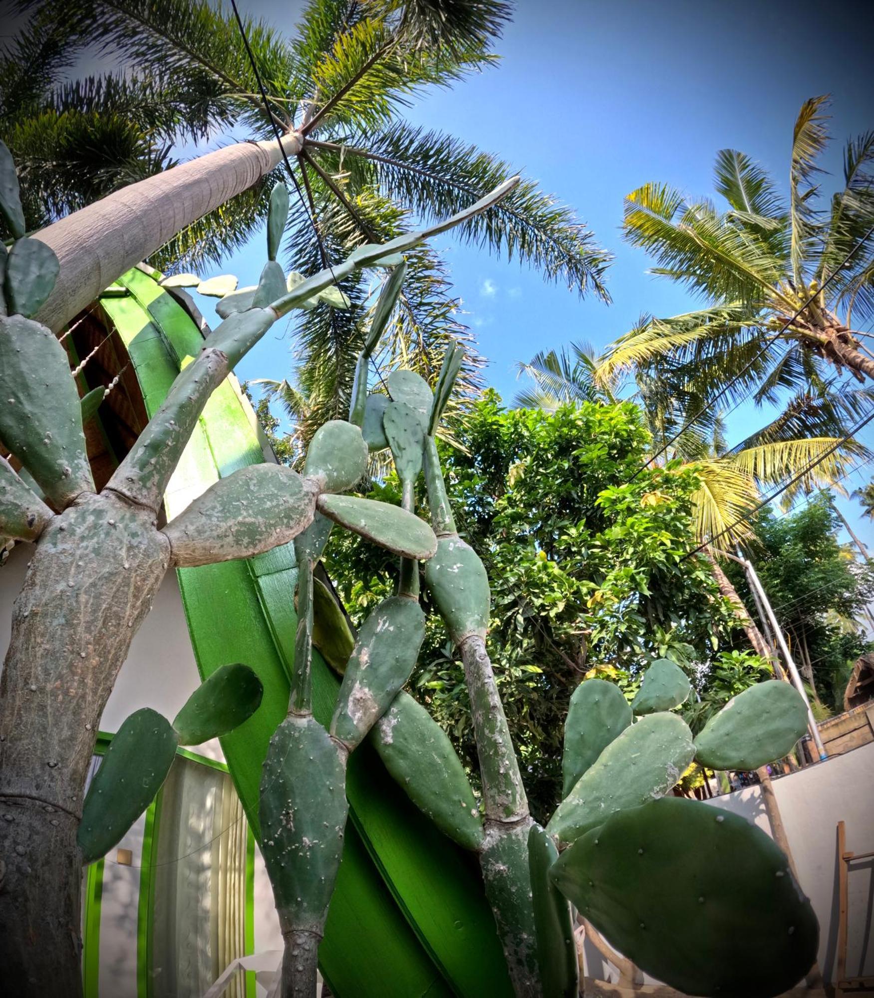 Kaktus Bungalow 1 Gili Air Exteriör bild